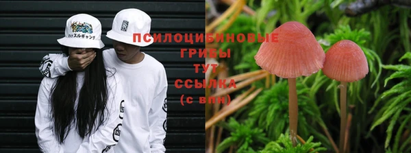 стафф Алзамай