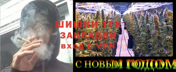 стафф Алзамай