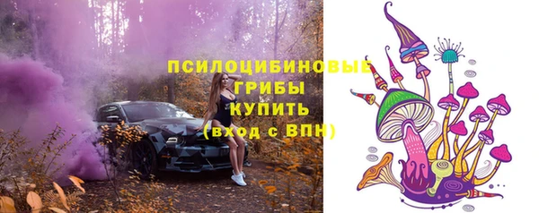 эйфоретик Алексеевка
