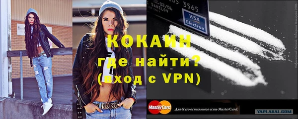 стафф Алзамай