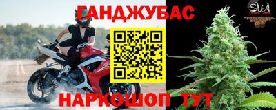 дмт Можайск