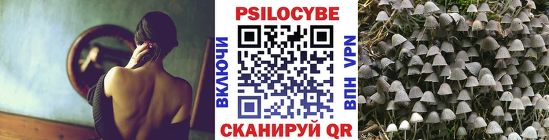 Псилоцибиновые грибы MAGIC MUSHROOMS купить наркоту Лесной