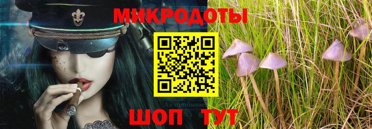 Галлюциногенные грибы GOLDEN TEACHER Лесной