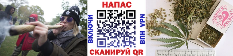 Бошки Шишки конопля  shop клад  Лесной  как найти закладки 