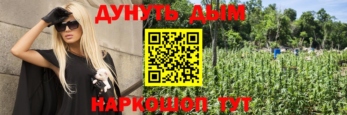 Бошки Шишки план Лесной